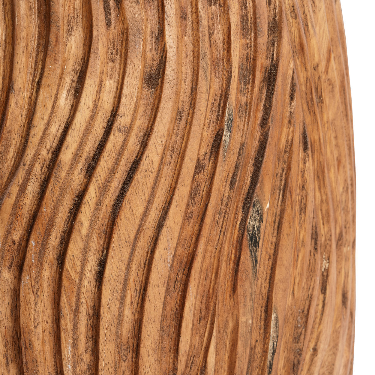 Celebes Hocker - Natur