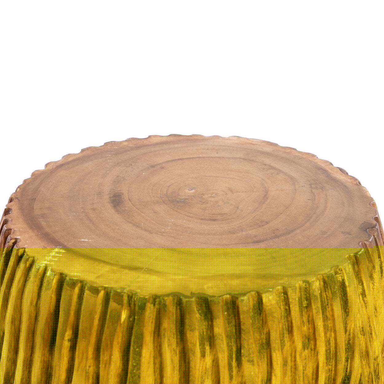 Celebes Hocker - Natur