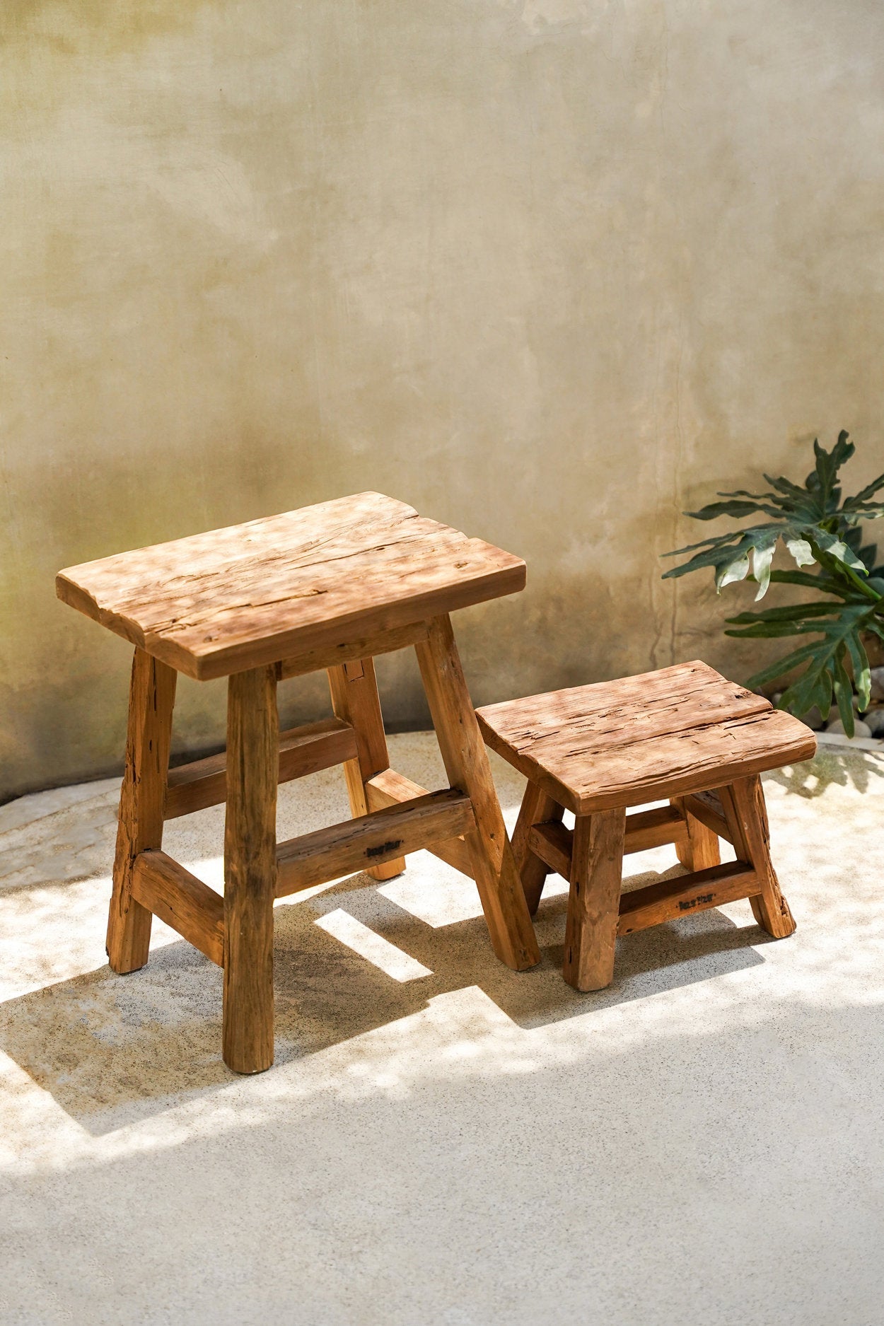 Der Jochhocker - Natur - S