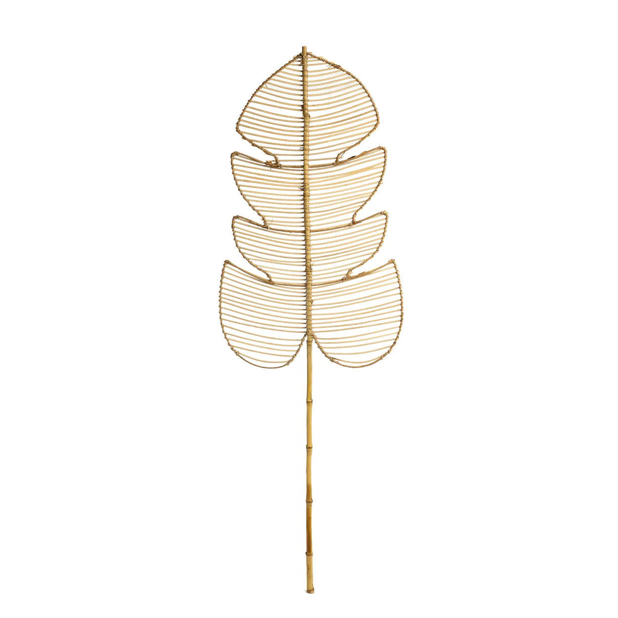 Rattan Monstera - Natürlich