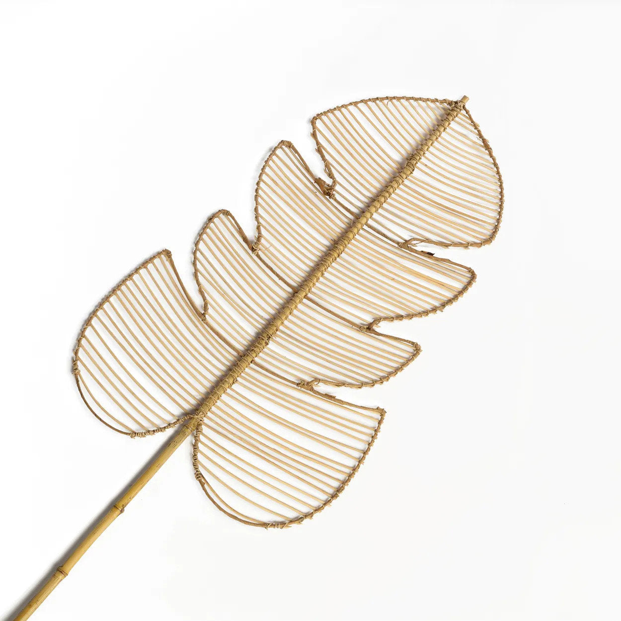 Rattan Monstera - Natürlich