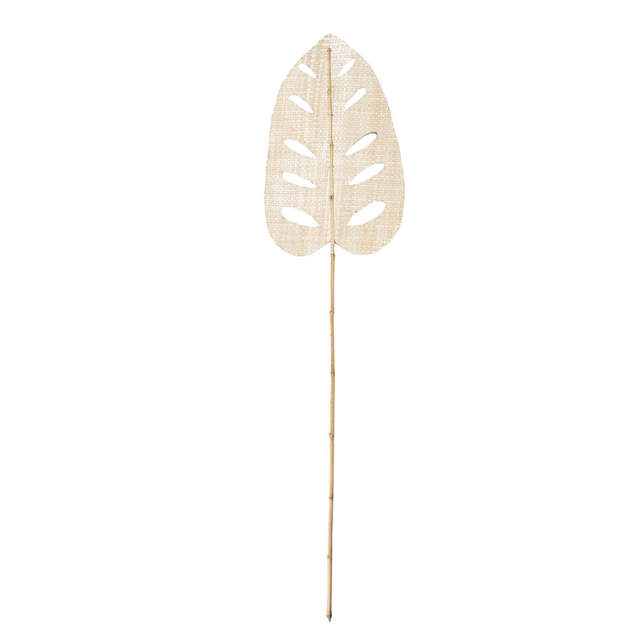 Das Blatt der Wasserhyazinthe - Natürlich