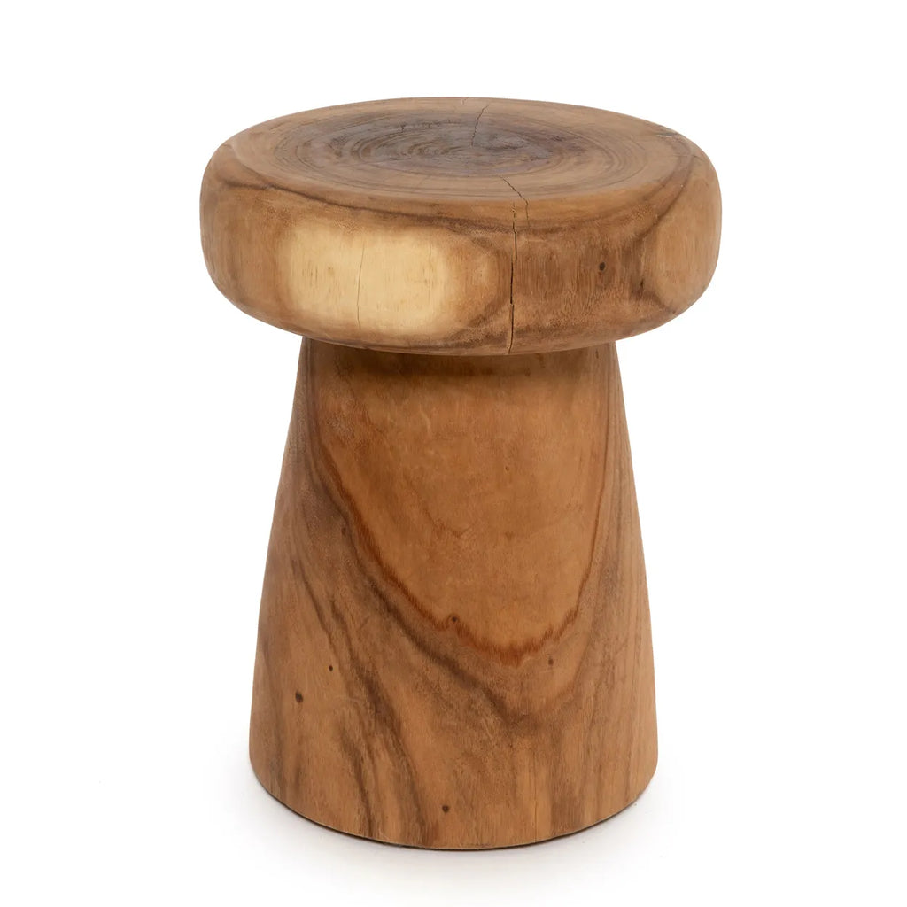 Der Pilz Hocker - Natur