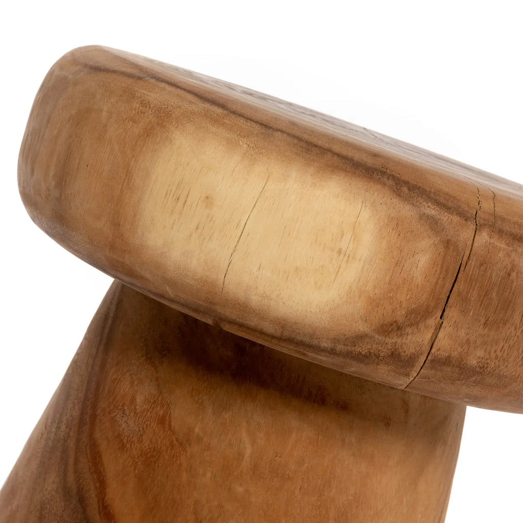 Der Pilz Hocker - Natur
