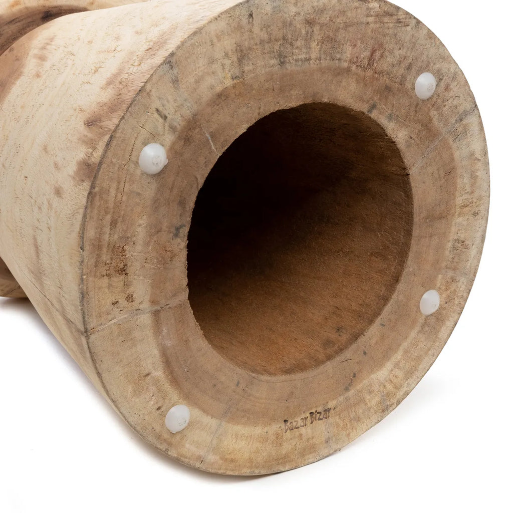 Der Pilz Hocker - Natur