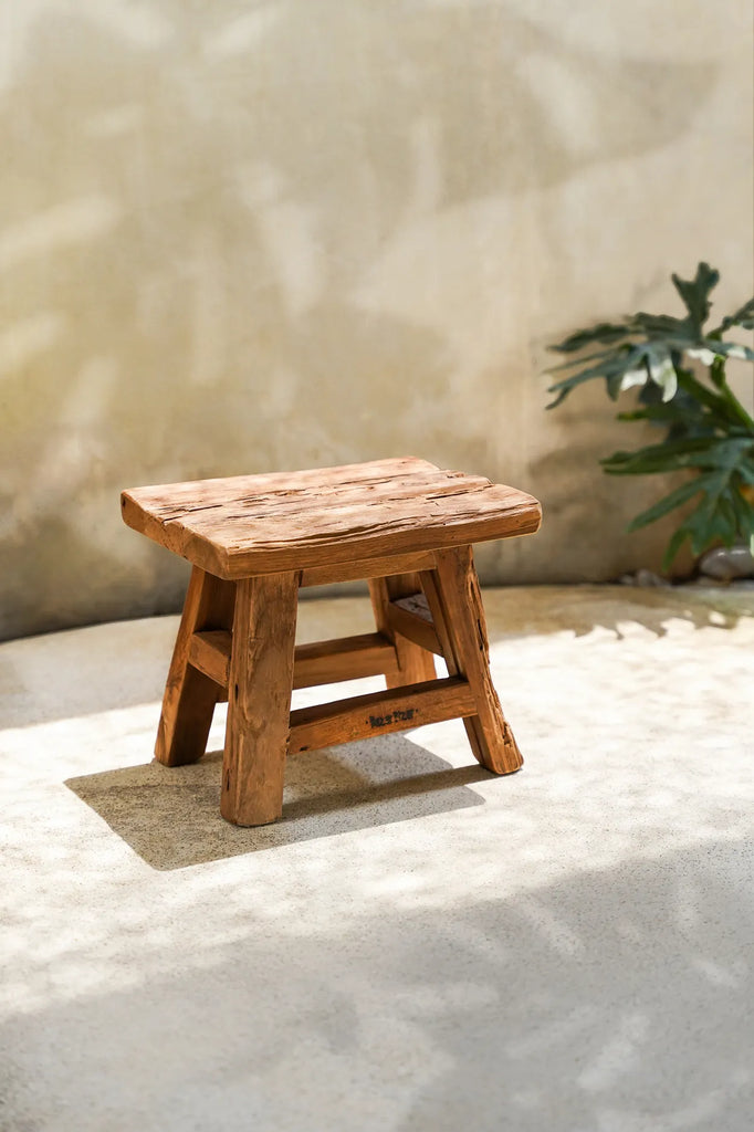 Der Jochhocker - Natur - S