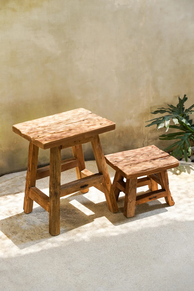 Der Jochhocker - Natur - S