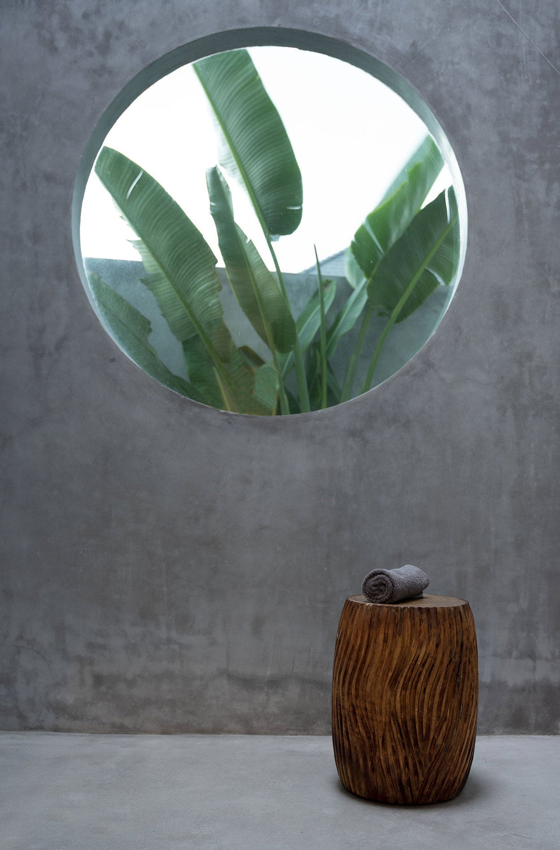 Celebes Hocker - Natur