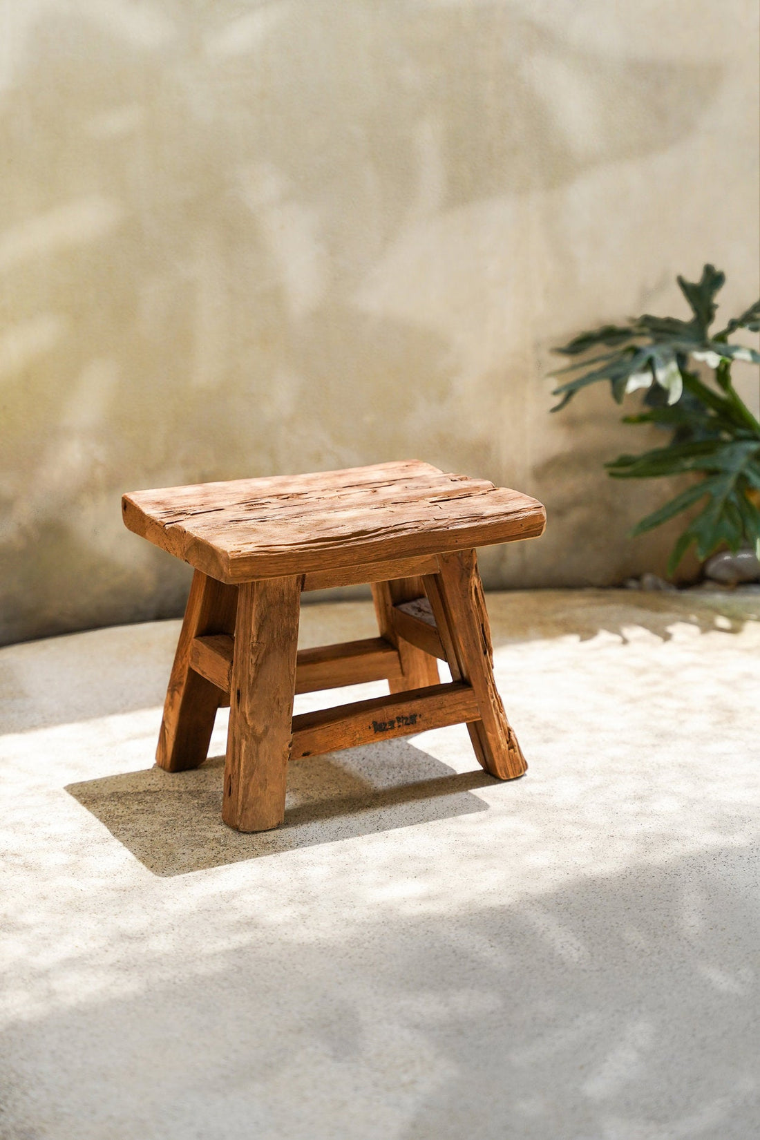 Der Jochhocker - Natur - S