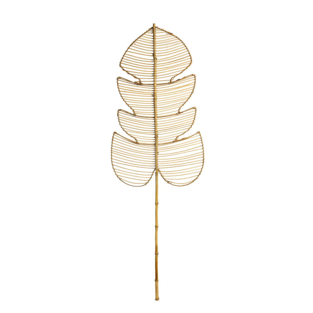 Rattan Monstera - Natürlich